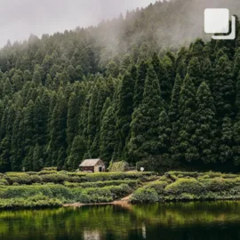 instagram-carrosel-17